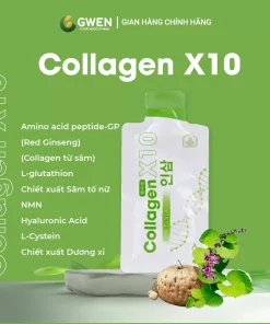 Collagen X10 1