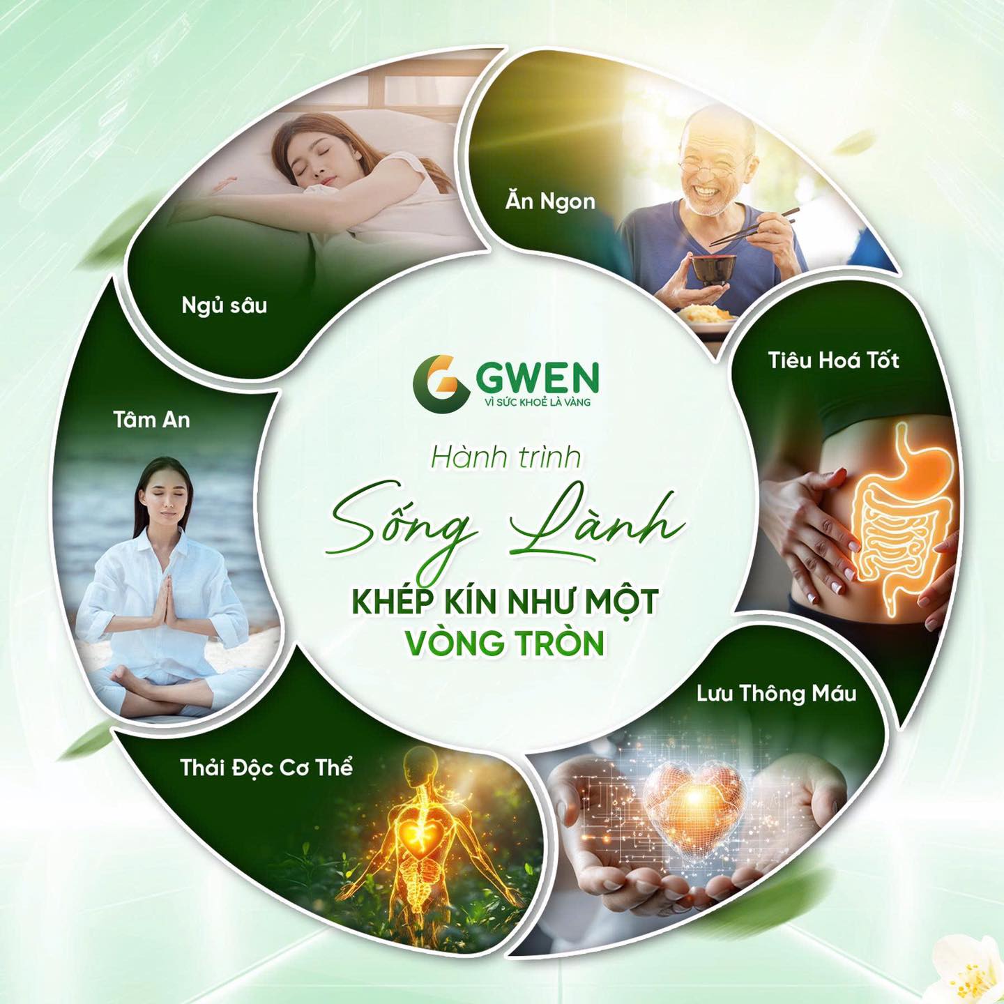 HÀNH TRÌNH SỐNG LÀNH: KHÉP KÍN NHƯ MỘT VÒNG TRÒN